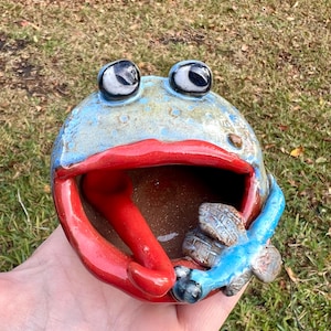 Handmade Ceramic Frog Salt Cellar with Dragonfly and Tongue Spoon - Whimsical Frog Pottery