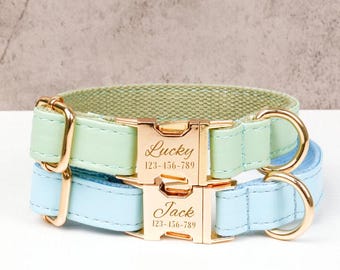 Könnte beinhalten: Zwei personalisierte Hundehalsbänder. Das obere Halsband ist hellgrün und das untere hellblau. Beide Halsbänder haben goldfarbene Metallschnallen und die Namen "Lucky" und "Jack" mit Telefonnummern graviert.