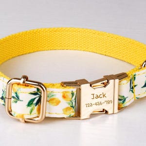 Può includere: Collare giallo per cani con un motivo floreale bianco con limoni e foglie verdi. Il collare ha una fibbia color oro e un anello di metallo. Il nome "Jack" e un numero di telefono sono incisi sulla fibbia.
