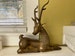 LARGE Brass Reindeer / Floor Sitting Decor / Ornate Stag Deer / Hollywood Regency / Laying Down Reclined / 21 Inches Tall 