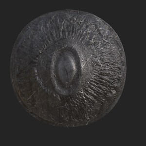 May include: A round, silver-colored shield with a textured surface and a raised, oval-shaped design in the center.