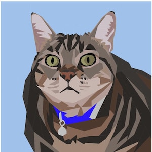 Puede incluir: Ilustración digital de la cara de un gato con un diseño geométrico. El gato tiene ojos verdes, un collar azul con una etiqueta plateada y un fondo azul claro. El pelaje del gato es una mezcla de marrón, gris y beige.