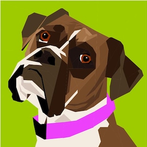 Puede incluir: Un perro boxer marrón y blanco con un collar rosa, mirando hacia la izquierda. Los ojos del perro son marrones y el fondo es verde brillante.