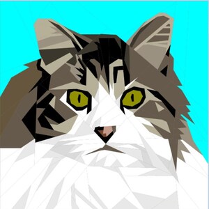 May include: Geometric illustration of a cat's face with green eyes, a pink nose, and a white and gray coat. The background is a solid light blue. The cat's fur is depicted with angular shapes.