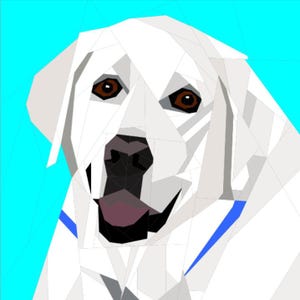 May include: Geometric illustration of a white dog with brown eyes and a black nose. The dog's mouth is open, revealing a pink tongue. A blue collar is visible against a bright turquoise background. The artwork has a modern, polygonal style.