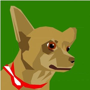 May include: A brown and tan chihuahua with large ears and a red collar. The dog is looking to the right of the image.