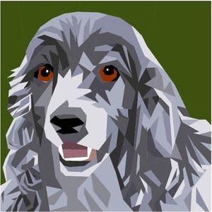 Könnte beinhalten: Ein grau-weißer Hund mit orangefarbenen Augen, der direkt auf den Betrachter schaut. Der Hund hat einen fröhlichen Ausdruck und sein Maul ist offen, so dass man seine Zähne sieht.
