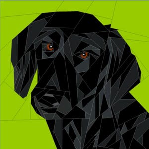 Puede incluir: Ilustración geométrica de la cara de un perro negro con ojos marrones sobre un fondo verde lima. Los rasgos del perro están construidos a partir de varias formas geométricas negras y grises, creando un diseño artístico moderno.