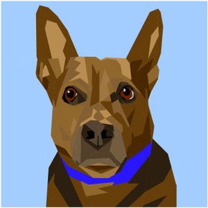 May include: Geometric illustration of a dog's face with brown fur, brown eyes, and a blue collar against a light blue background. The dog's ears are erect, and the artwork has a polygonal style.