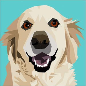 Op de afbeelding: Een close-up van een golden retriever hond met een lichtbruine vacht en een zwarte neus. De hond heeft zijn bek open, toont zijn tanden en zijn tong is licht zichtbaar. De ogen van de hond zijn bruin en alert. De achtergrond is lichtblauw.