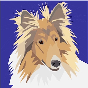 Könnte beinhalten: Geometrische Illustration eines Collie-Hundekopfes. Der Hund hat braune Augen, ein hellbraunes und weißes Fell und eine schwarze Nase. Der Hintergrund ist einfarbig blau.