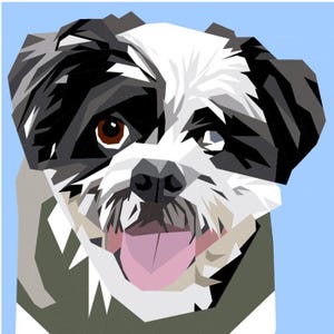May include: A geometric illustration of a dog's face. The dog has black and white fur, a brown eye, and a pink tongue. The background is light blue. The artwork uses a low-poly style.