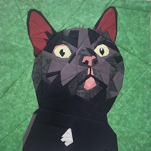 Black Cat Foundation Paper pieced large quilt block