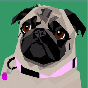May include: A close-up of a pug's face with a pink collar and a black leash. The pug has brown eyes and a black nose. The background is a solid green color.
