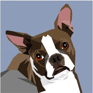 May include: A brown and white Boston Terrier with large, floppy ears and brown eyes. The dog is looking directly at the viewer with its tongue slightly sticking out.