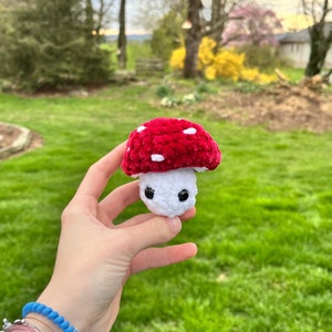 Mushroom Pop Plushie- Crochet