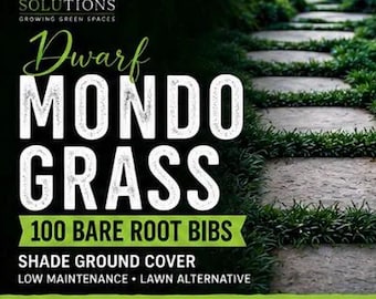 Dwarf Mondo Grass 100 Bibs | Shade Ground Cover | Low Maintenance Lawn Alternative
