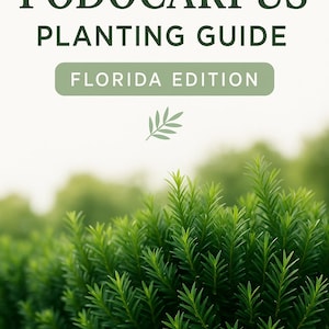 Op de afbeelding: Een boekomslag met de titel "PODOCARPUS PLANTING GUIDE" in donkergroene letters. Daaronder staat "FLORIDA EDITION" in een groene rechthoek. De afbeelding toont een close-up van levendige groene Podocarpus-planten, met de tekst "FLORIDA GREEN GUIDES" onderaan.
