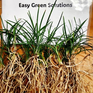 May include: A white ceramic mug with a black handle and the text "But First, Coffee" in a bold, black font. The mug is set against a blurred background, suggesting a cozy setting. The mug appears to be approximately 4 inches tall.