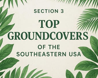 Groundcover Master Guide for the Southeastern USA