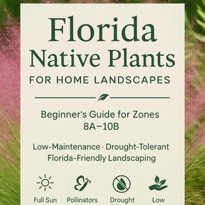 May include: A white ceramic mug with a black handle and the text "But First, Coffee" in a bold, black font. The mug is set against a plain white background, highlighting its simple design.