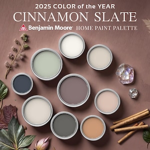 Cinnamon Slate Color of the Year 2025 Benjamin Moore Whole House Best Color Scheme Interior Design Guide Mauve Neutral Modern Earthy Moody