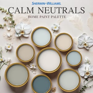Calm Neutrals Home Paint Palette Sherwin Williams Whole House Wall Trim Decor Color Schemes Interior Design Modern Earthy Farmhouse Coastal