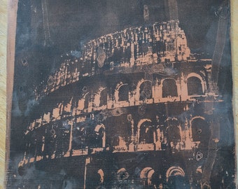 Coliseo Cobre y Negro Estampado