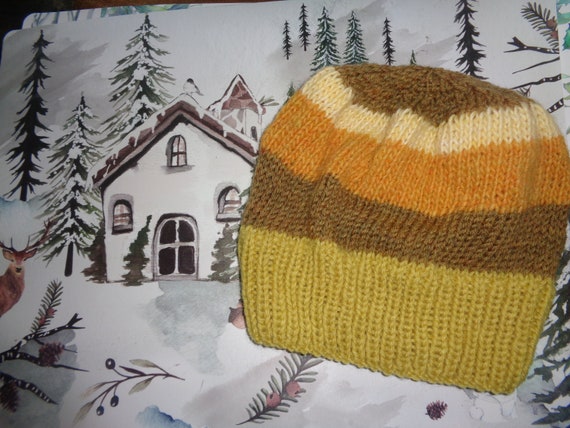 Hand Knit Knitted Multicolor Hat Watchcap Cap Beanie Wool