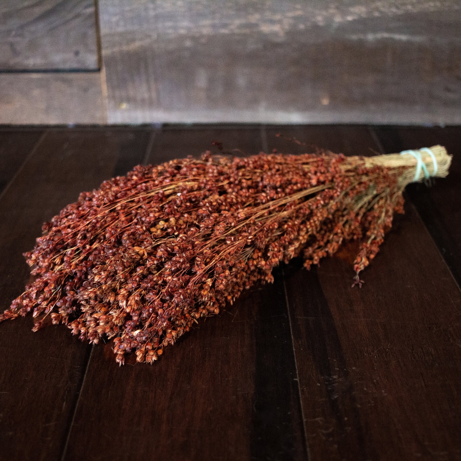 Dried Broom Corn Bunched Dried Flowers Certified Organic by Lovin' Mama