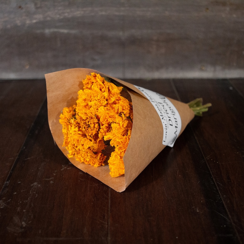 K&ouml;nnte beinhalten: Ein Strau&szlig; getrockneter Ringelblumen, verpackt in braunem Papier. Die leuchtend orangefarbenen Bl&uuml;ten sind dicht gepackt und bilden einen Kontrast zum Papier. Ein Etikett mit Text ist sichtbar. Der Strau&szlig; ist mit gr&uuml;nen Stielen gebunden.