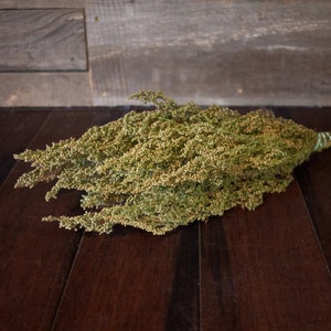 May include: A bunch of dried green and tan flowers, tied with green string. The flowers feature small, round buds and delicate stems. The background is a dark wooden surface.