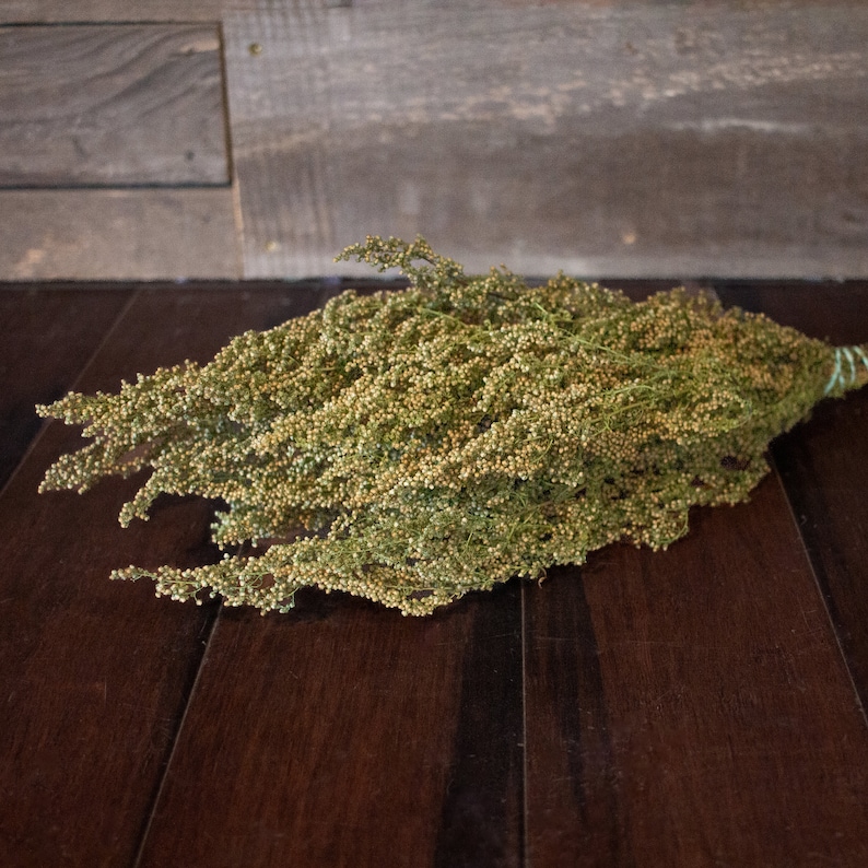 May include: A bunch of dried green and tan flowers, tied with green string. The flowers feature small, round buds and delicate stems. The background is a dark wooden surface.