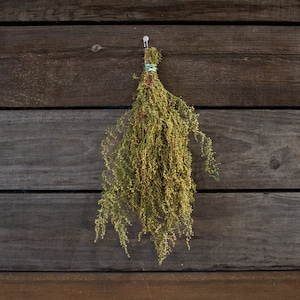 May include: A bunch of dried green herbs suspended against a weathered wooden backdrop. The herbs are bound with twine and a green band. The image is a medium shot, highlighting the texture and colour of the herbs.