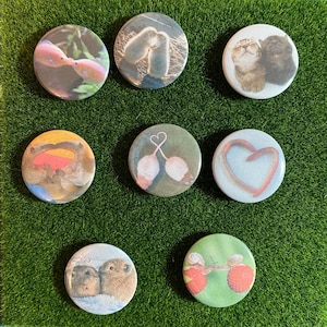 Animals in love | Silly Funny Animal Pin Buttons for Valentine’s day