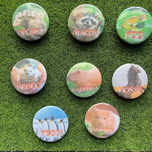 Animal Misspellings | Silly Funny Animal Pin Buttons Fire Text Effect