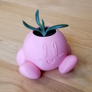 May include: A pink, character-shaped planter with a smiling face and small arms and legs. The planter holds a small green plant with several long, slender leaves. The planter is sitting on a wooden surface.