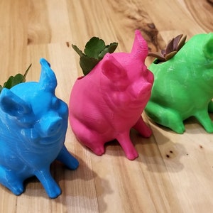 Puede incluir: Tres macetas con forma de cerdo en azul, rosa y verde, cada una con una pequeña planta suculenta que crece en su interior.