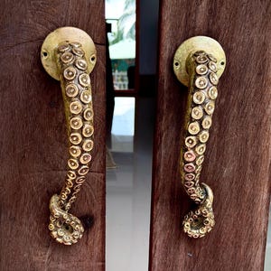 May include: A pair of brass-toned metal door handles shaped like octopus tentacles with detailed suction cups, mounted vertically on two dark brown wooden door panels. The handles feature a curved design with a circular base plate at the top.