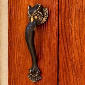 May include: A dark bronze-toned metal door handle shaped like an owl. The handle features a detailed owl head at the top with prominent eyes and feathers, transitioning into a smooth, curved body that ends in a flared, fan-like tail design at the bottom.