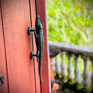 May include: A bronze alligator door handle mounted on a weathered red wooden door. The alligator is detailed with textured scales and is attached to the door with two circular mounts. The background is blurred, showing greenery.