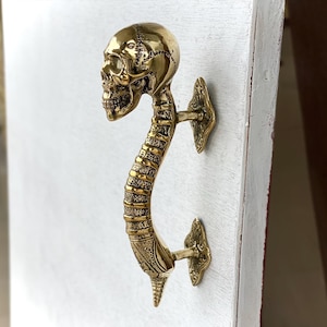 May include: A brass-colored door handle in the shape of a human skull and spine. The handle is mounted on a white surface. The skull is detailed with eye sockets, a nose cavity, and teeth. The spine curves down to the mounting plate.