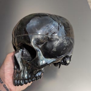Anatomically Correct Human Skull Replica: Gothic Dark Art Decor