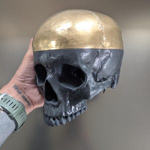 Anatomically Correct Human Skull Replica: Gothic Dark Art Decor