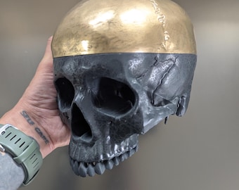 ゼノモーフ・エイリアン・スカル・トロフィー / 珍品 / 珍品