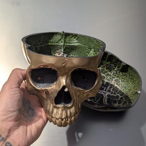 Anatomical Human Skull Replica: Gothic Dark Art Decor