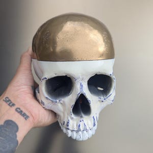Anatomical Human Skull Replica: Gothic Dark Art Decor