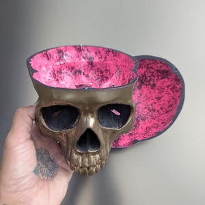 Anatomically Correct Human Skull Replica: Gothic Dark Art Decor