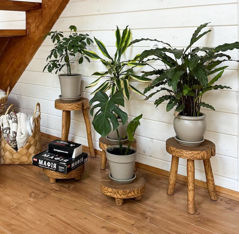 Op de afbeelding: Vier houten krukjes met elk drie poten, die elk een potplant dragen. De planten zijn een monstera, een dracaena, een schefflera en een calathea. De krukjes zijn allemaal gemaakt van natuurlijk hout en hebben een rustieke afwerking. Een speldoos met het woord "Mafia" staat op een van de krukjes.