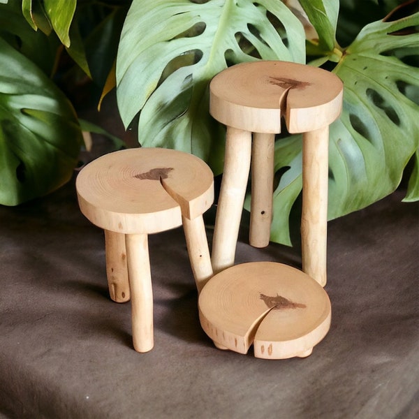 Tabouret écologique en bois, Support pour plante fait main, arbre coupé, Table de chevet en bois massif, Support de décoration scandinave, Mini table ronde, Support court rustique